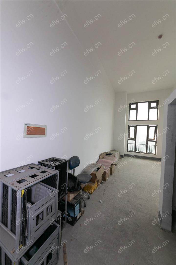 赛格公馆 1室1厅1卫