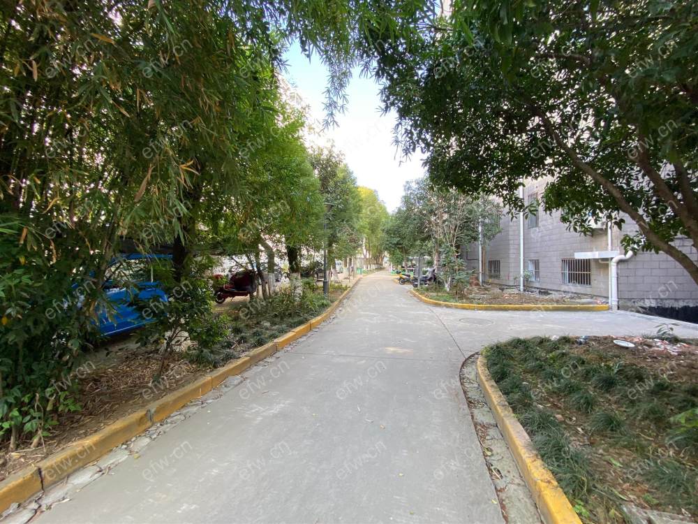 桃源居 2室1厅 65平
