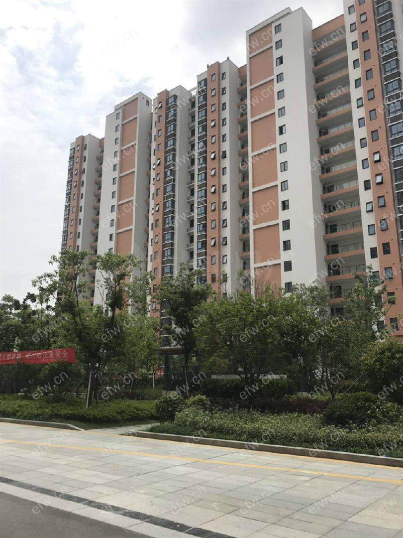 阿尔勒排高层，视野好采光好