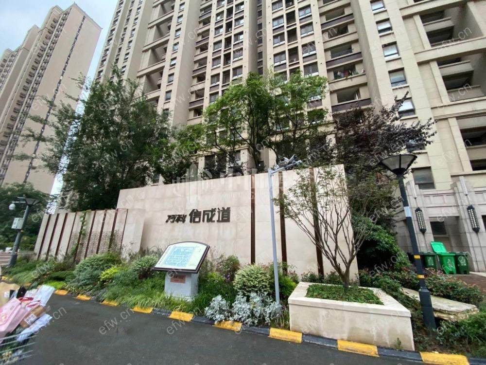 万科信成道 经典3房 西边户 全明