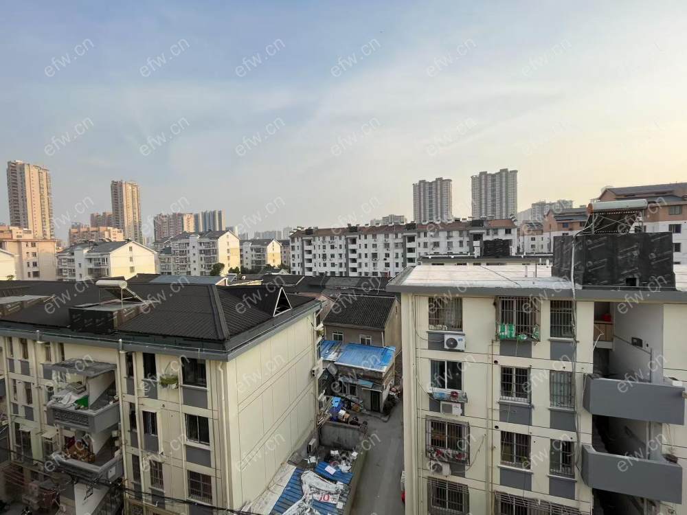孙蒋新村 1室1厅