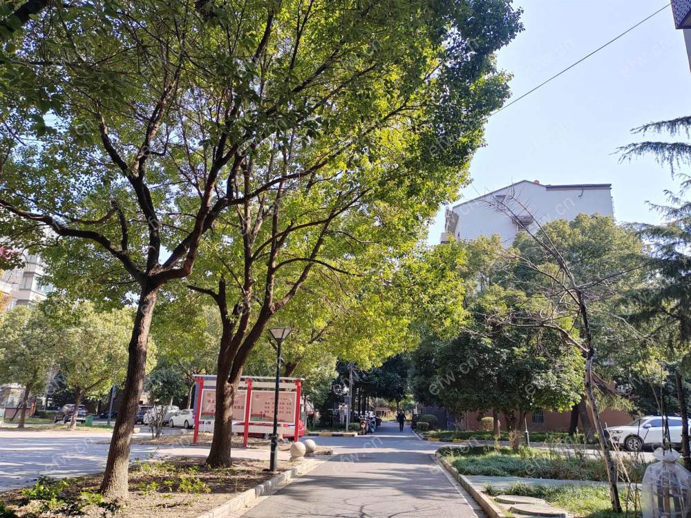 瑞扬家园 2室2厅....