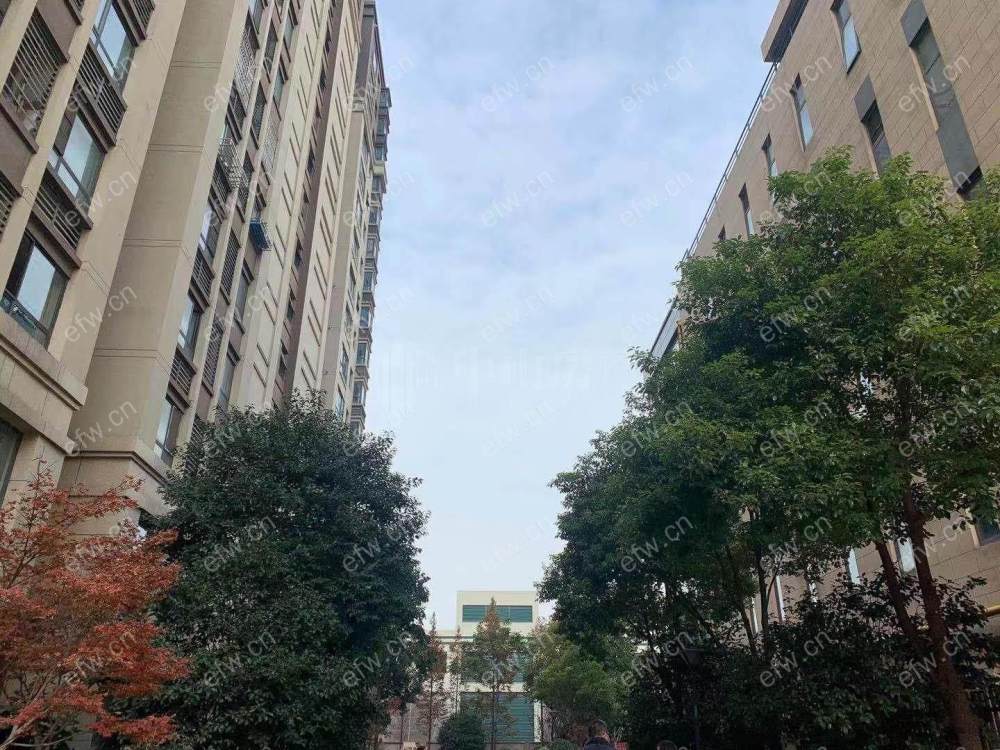苏宁天御广场 经典2房 东边户 全明 精