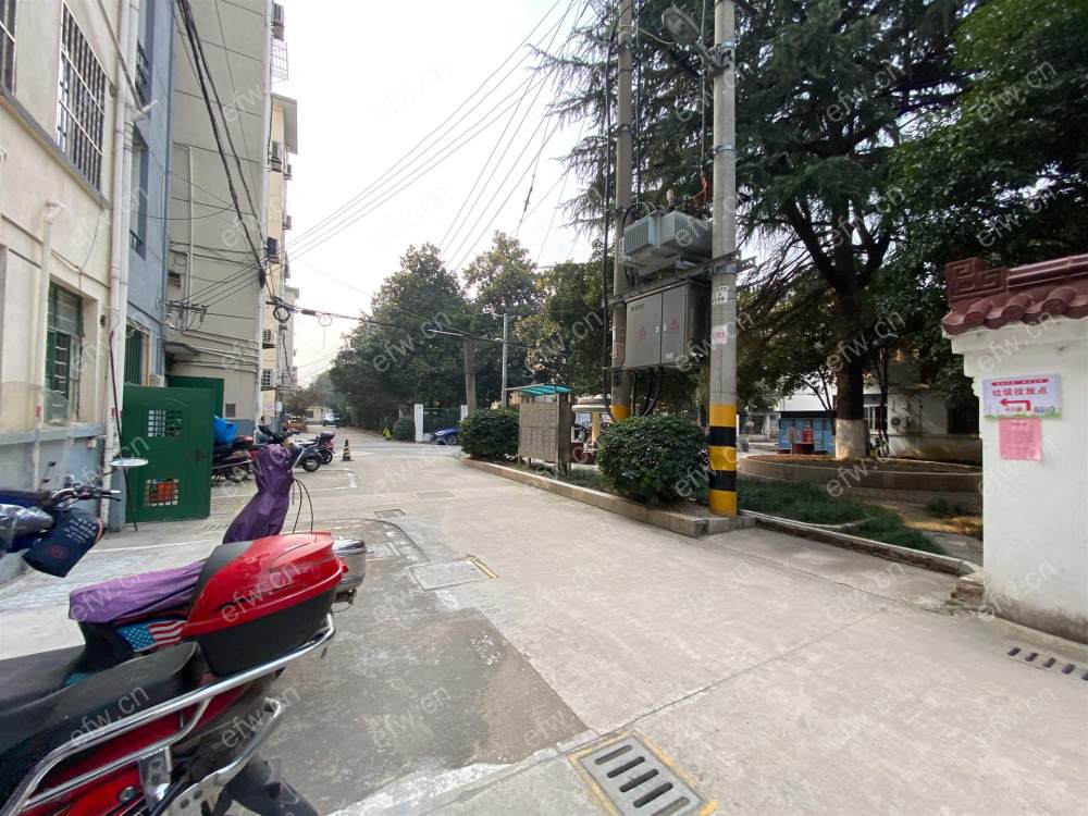 蓓蕾新村 1室1厅  南北通透  采光佳