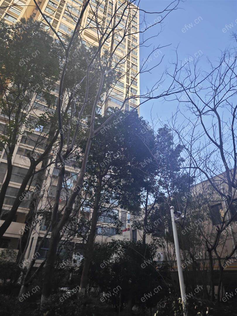 美湖家园精装2室  随时看房 拎包入住
