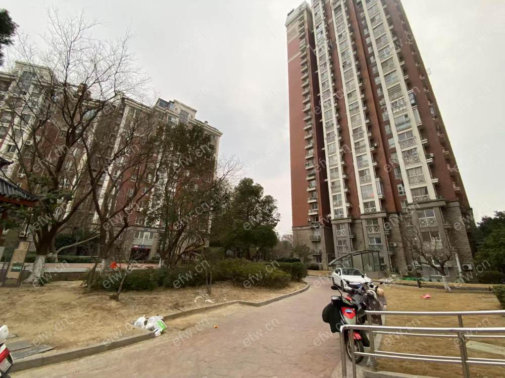金马际花园精装三房，户型方针，拎包入住！出行方便，近市区，近公园。目前出租
