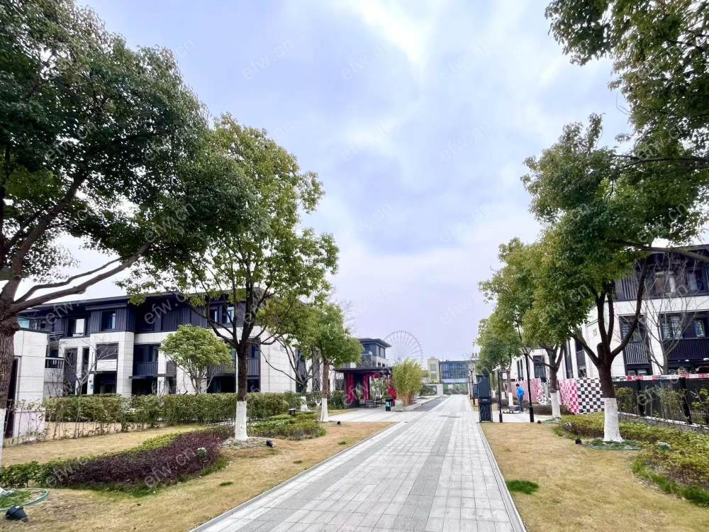 金科蠡湖下叠中间套，新空毛坯，随时看房
