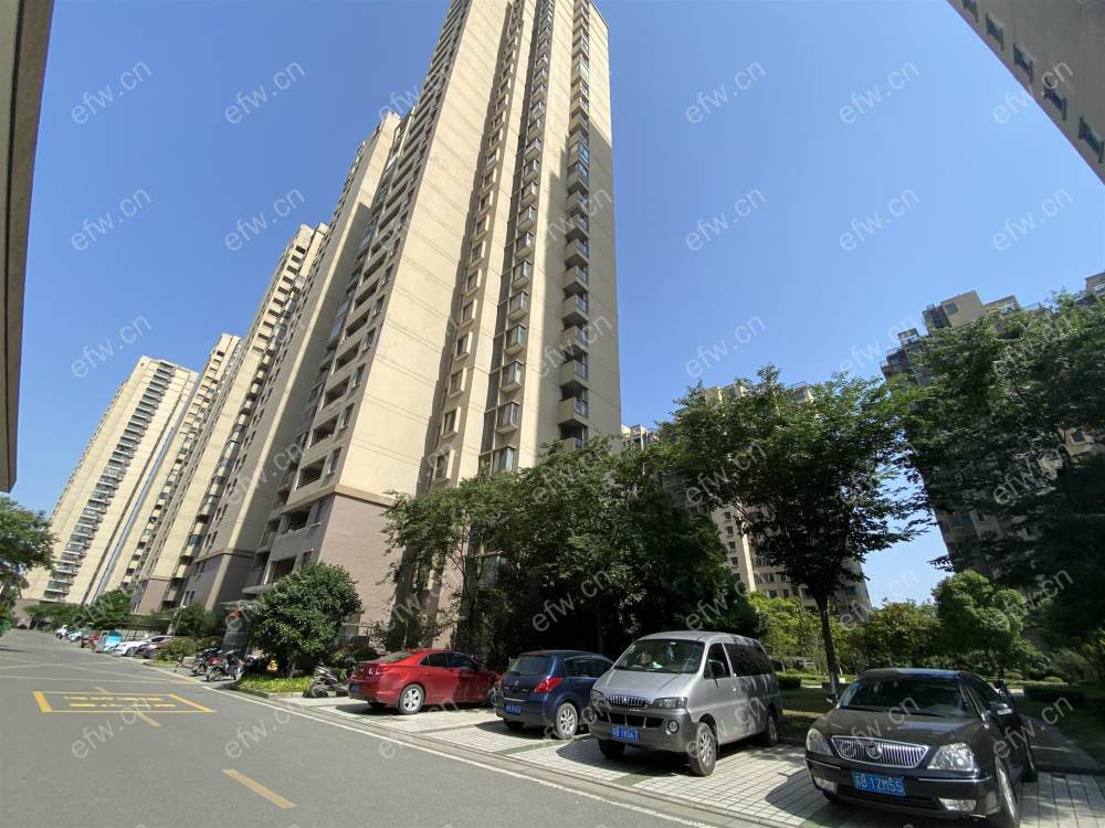 village 毛坯 采光好南北通透 随时看房