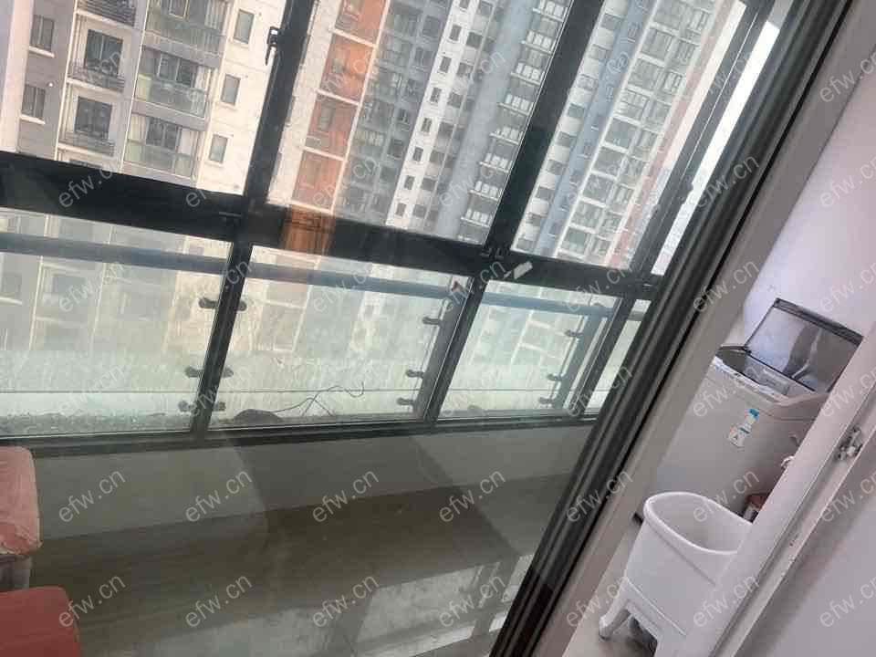 金科观天下 1室1厅
