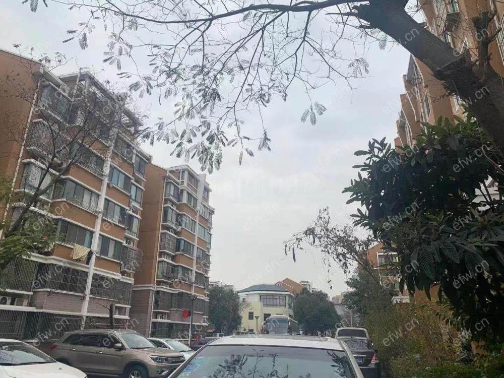精装 民丰家园二期 随时看房