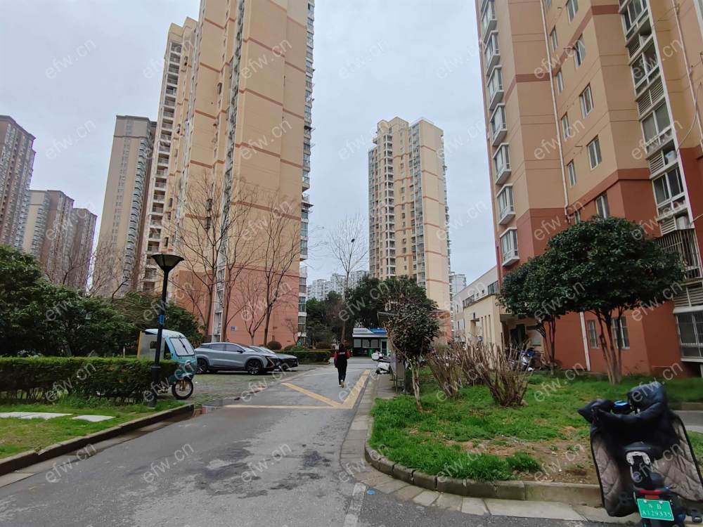 village  精装修 无遮挡采光好 电梯房 南北通透 随时看