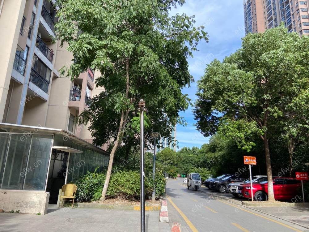 中南家园A区 2房 全明户型 另送家电