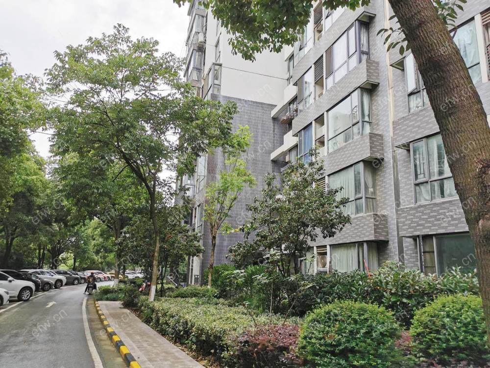 红色五楼高德洋房一楼有院子南北通透户型精装修