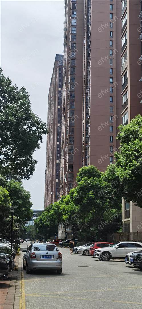 绿地世纪城三期 年轻时尚,1居室,观景房,落地大飘窗,采光视野一流