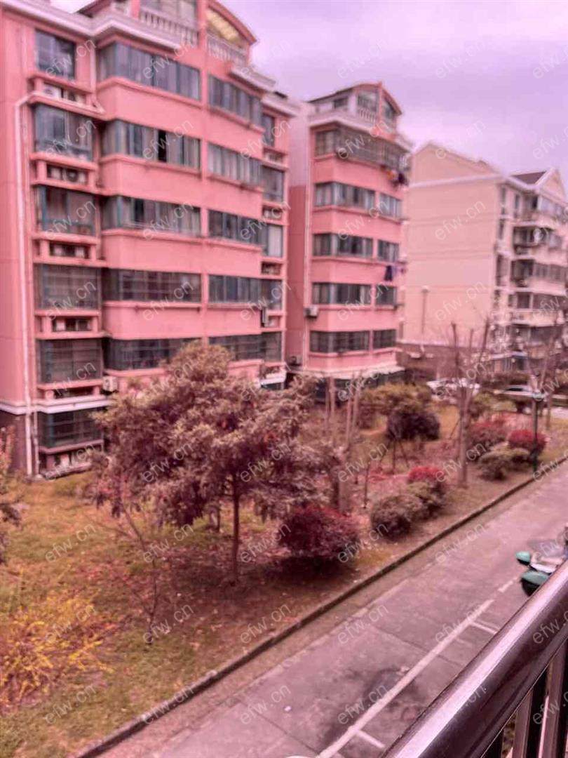 景丽东苑精装2室  随时看房 拎包入住