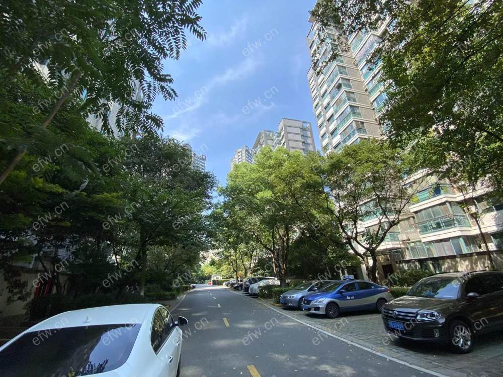 清扬康臣 1室1厅东林古运河拎包入住