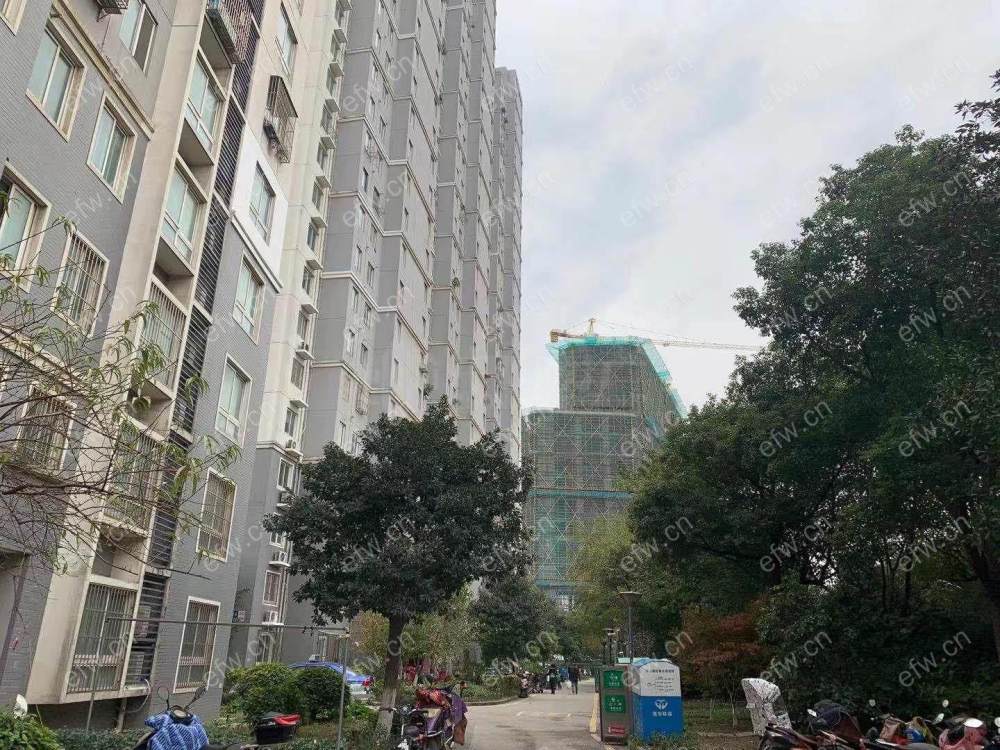 简单装修 电梯洋房 中层随时看房