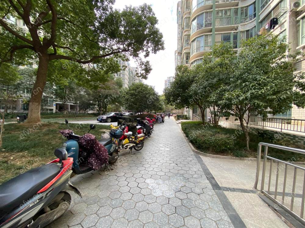 奥林花园B区 3房 全明户型 另送家电