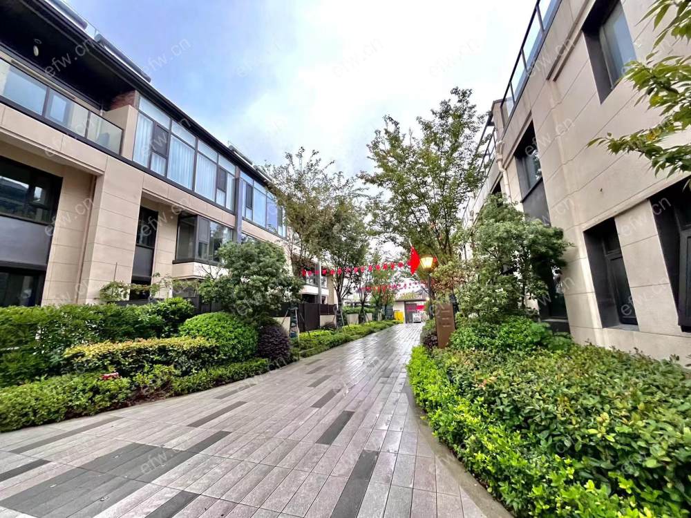 新力朗诗熙华府 一楼送院子 纯联排别墅社区 有地下室