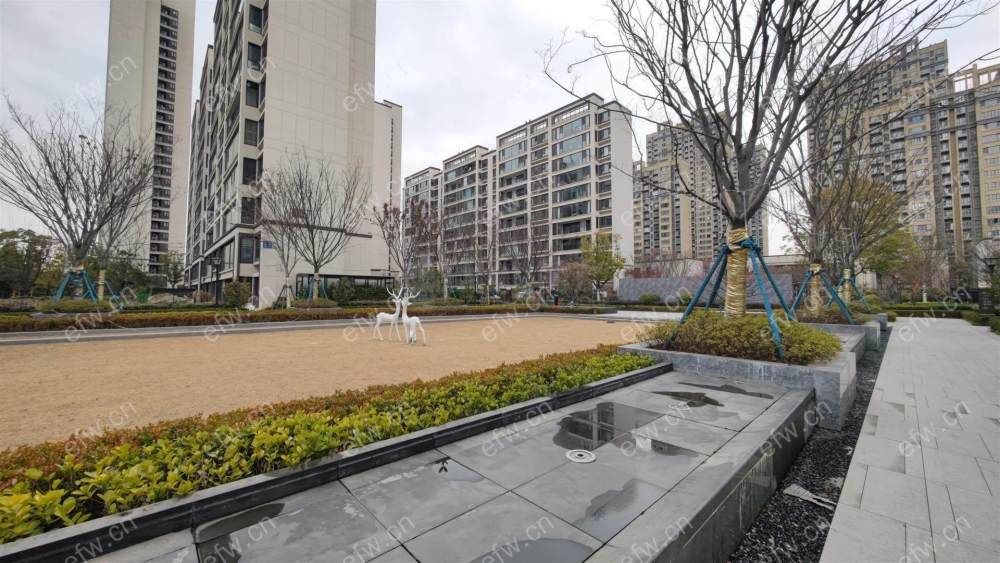 花园洋房     小区中间位置