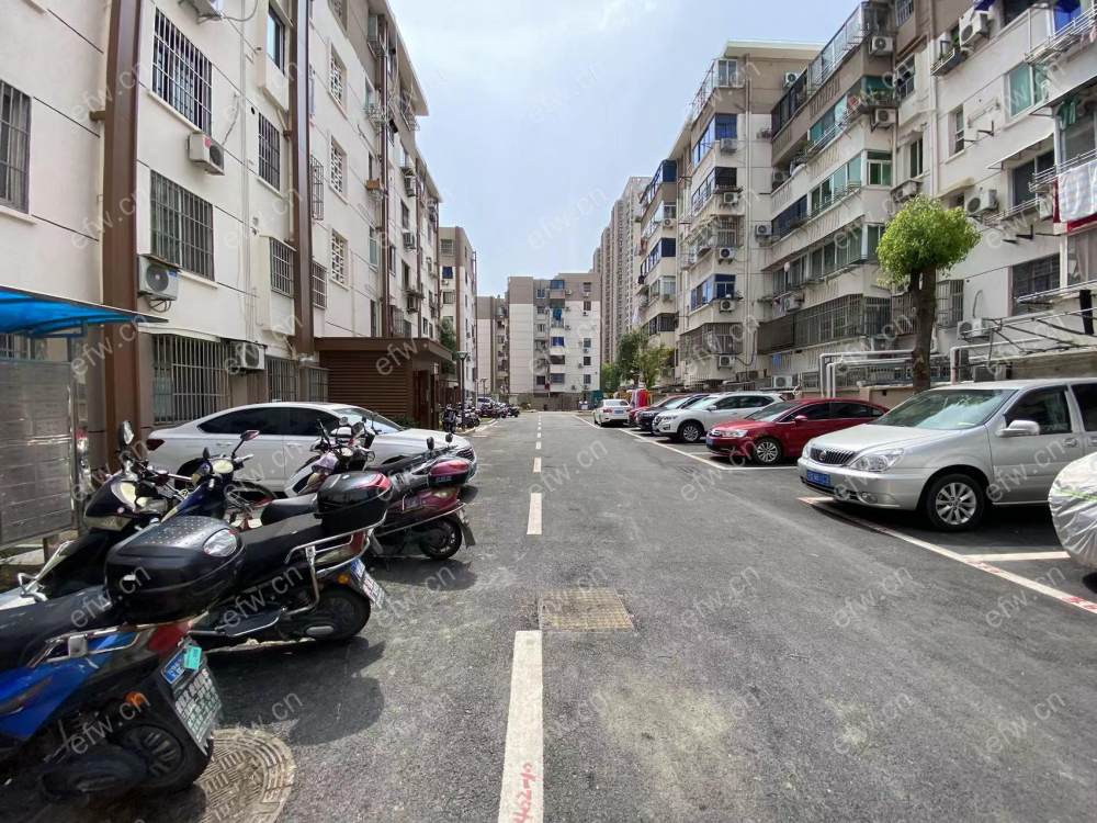 震泽新村1室1厅一厨一卫
