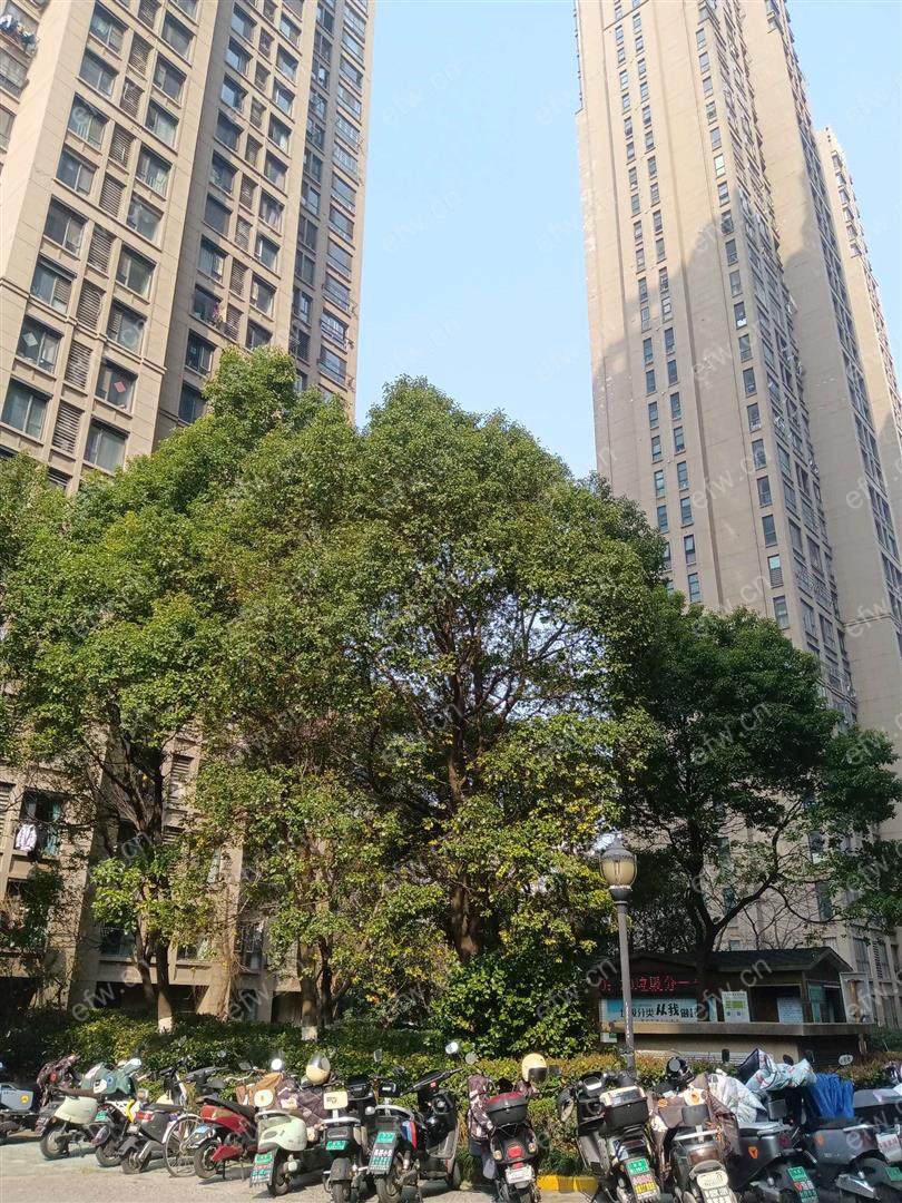 嘉德港与城(水韵金阁) 1室1厅
