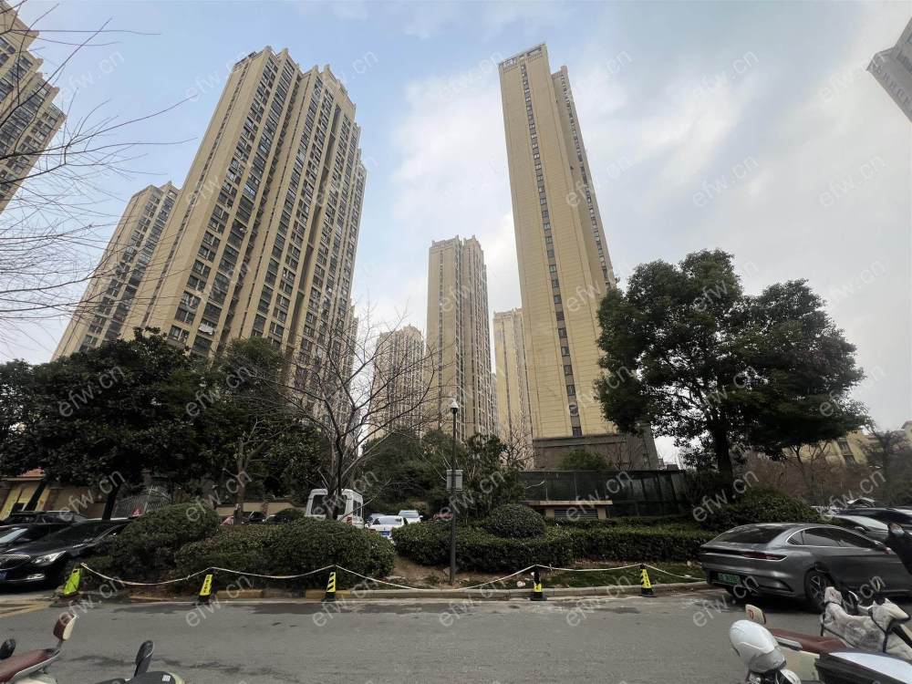 金科米兰（二期38-62） 3房 全明户型 另送家电