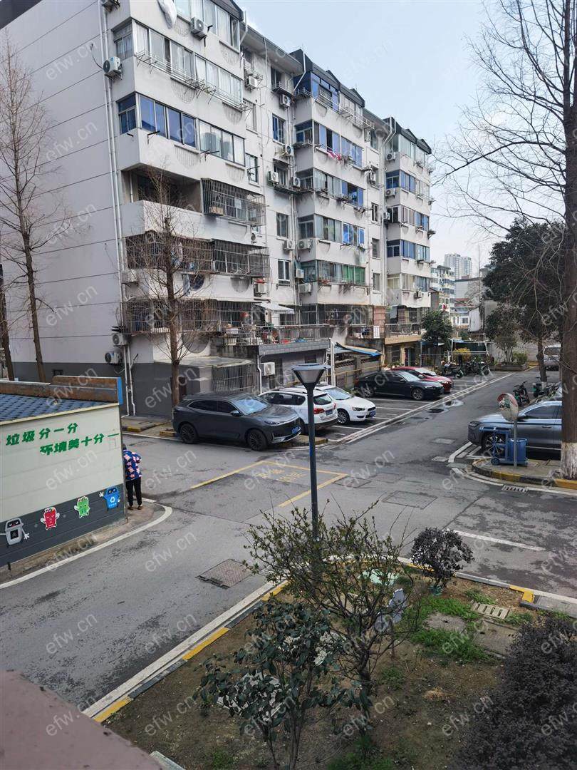 芦庄六区精装1室  随时看房 拎包入住