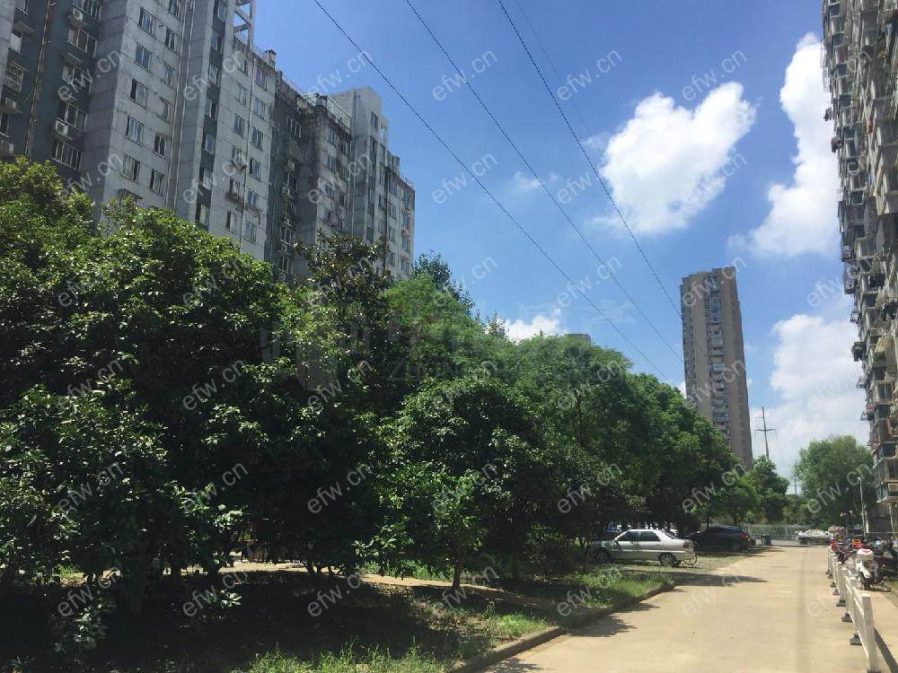 南湖家园北区 不靠路 采光好 中间户   朝南大阳台 不包土