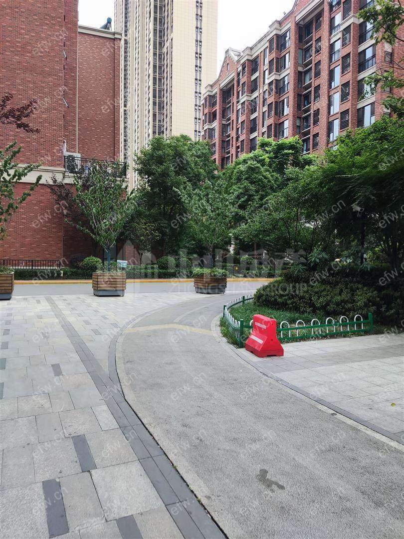 精装小三房     楼层佳