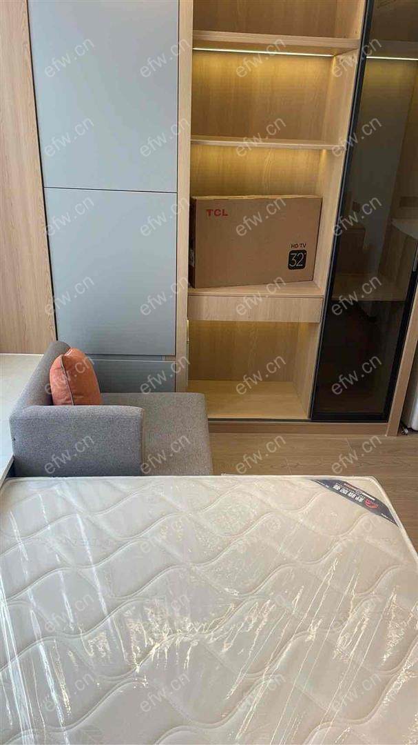 新体附近精装朝南公寓 拎包入住