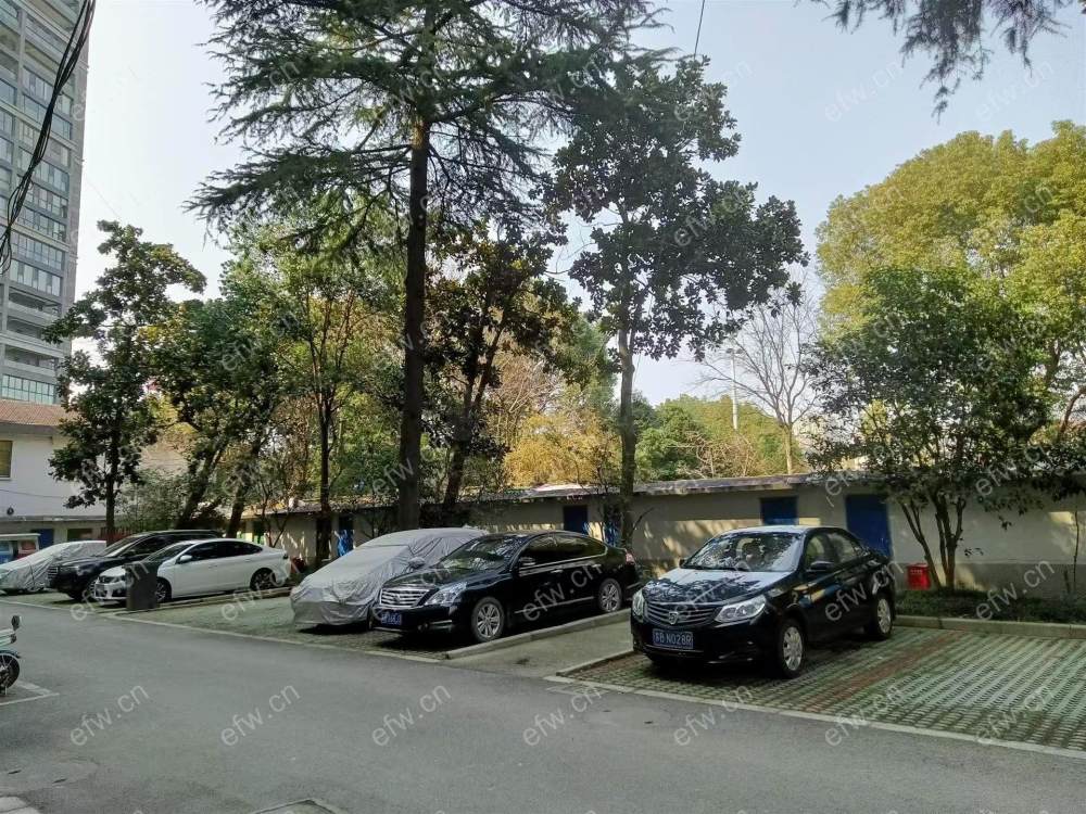yongtaolidkjiiie