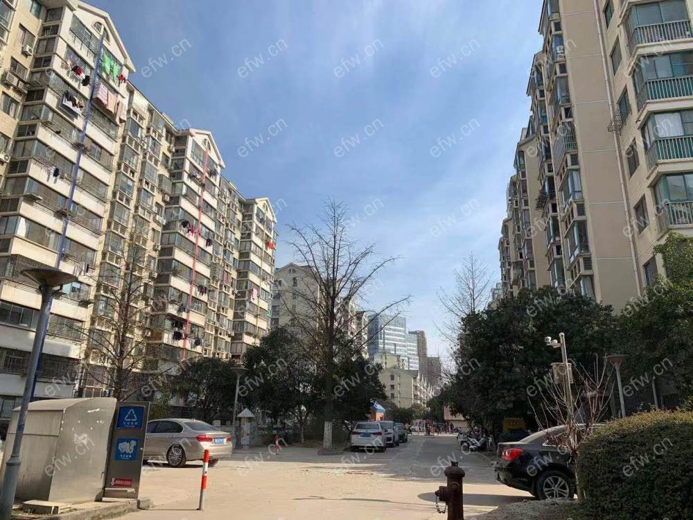 民丰西苑 3室2厅全明户型