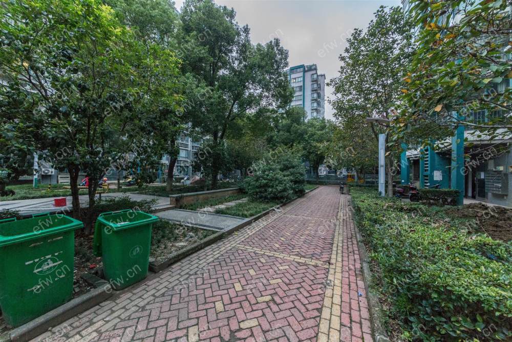 village room房 全明户型 另送家电