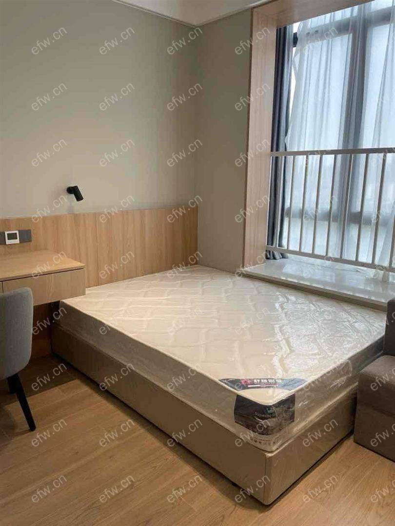 新体附近精装朝南公寓 拎包入住