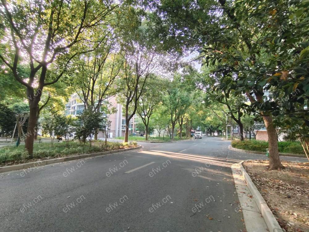 百米高喷湖滨南苑    精装两房