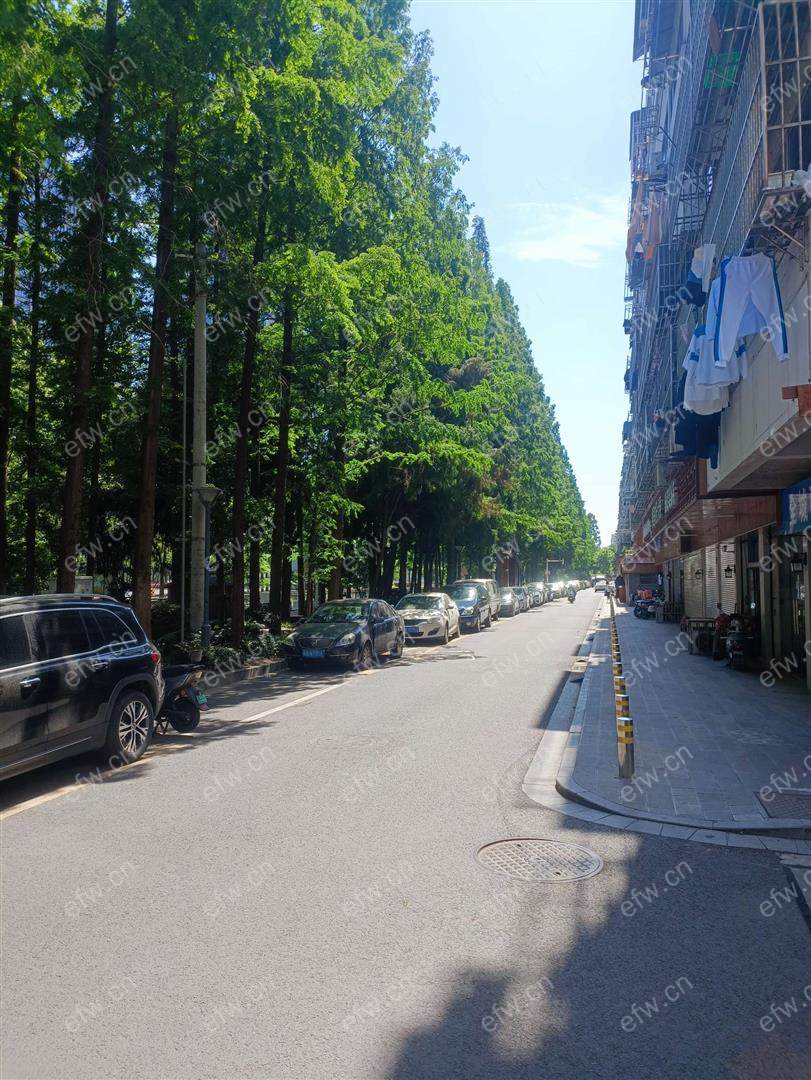 家电齐全 带飘窗 新江南花园 采光好 绿