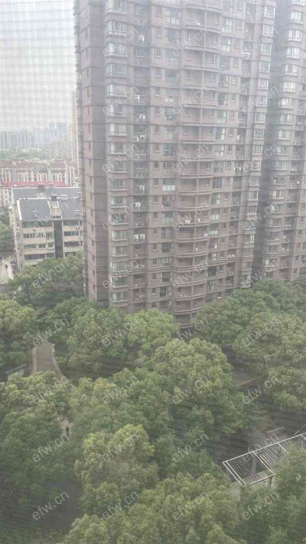富安华庭 1室1厅