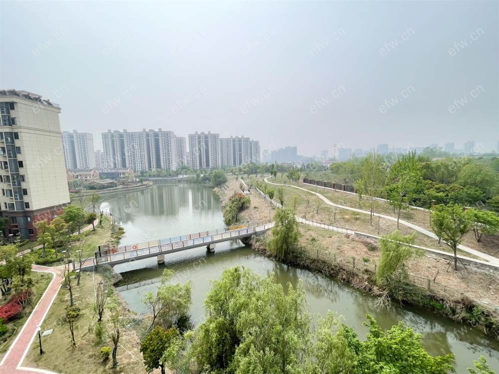 悦湖花园（公园悦府）洋房   4室2厅2卫纯毛坯出售