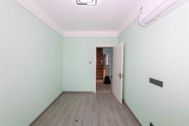 ½Է 2266666666