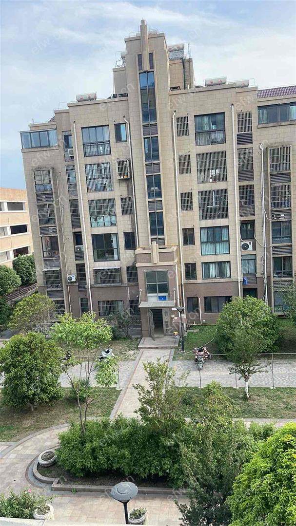 洋房中间楼层装修精装修