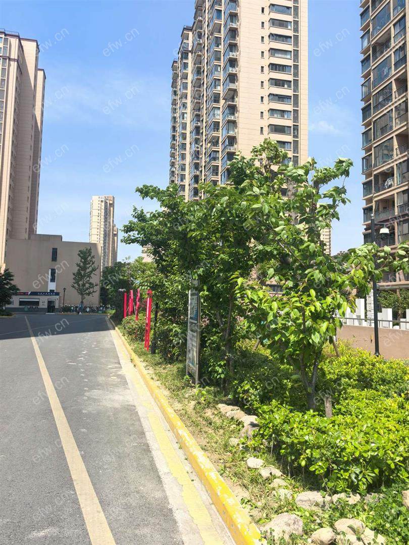 扬名花园六期（金扬怡庭）精装2室  随时看房 拎包入住