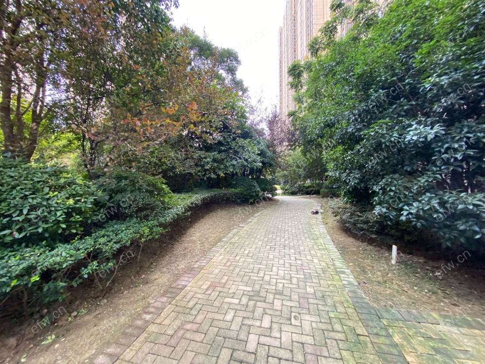 中建溪岸观邸 毛坯2房 楼层好 看中可谈