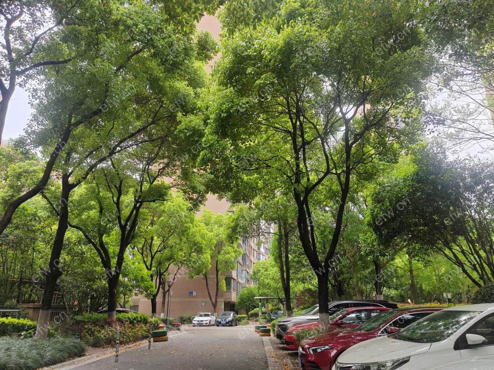 阳光城市花园2房