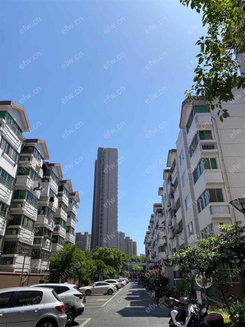 家电齐全 带飘窗 梨南苑 采光好 绿化好