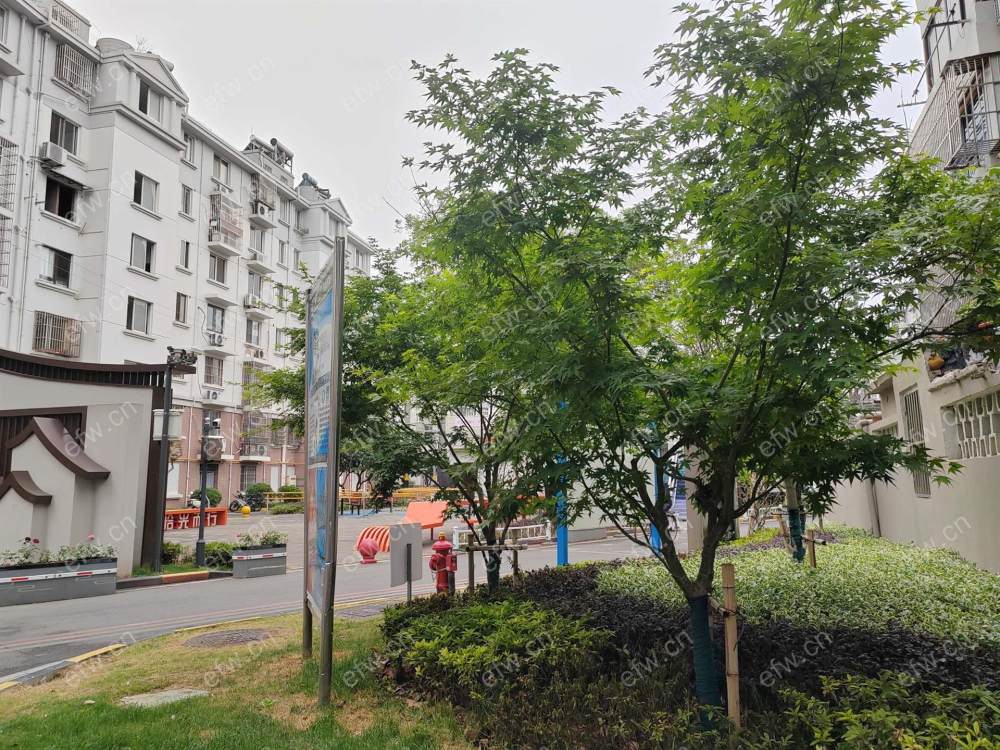 新苏新村 2室1厅