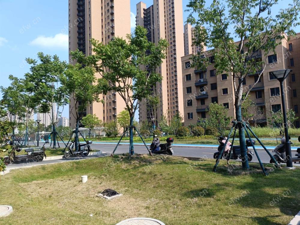 锦数双河苑精装修2房