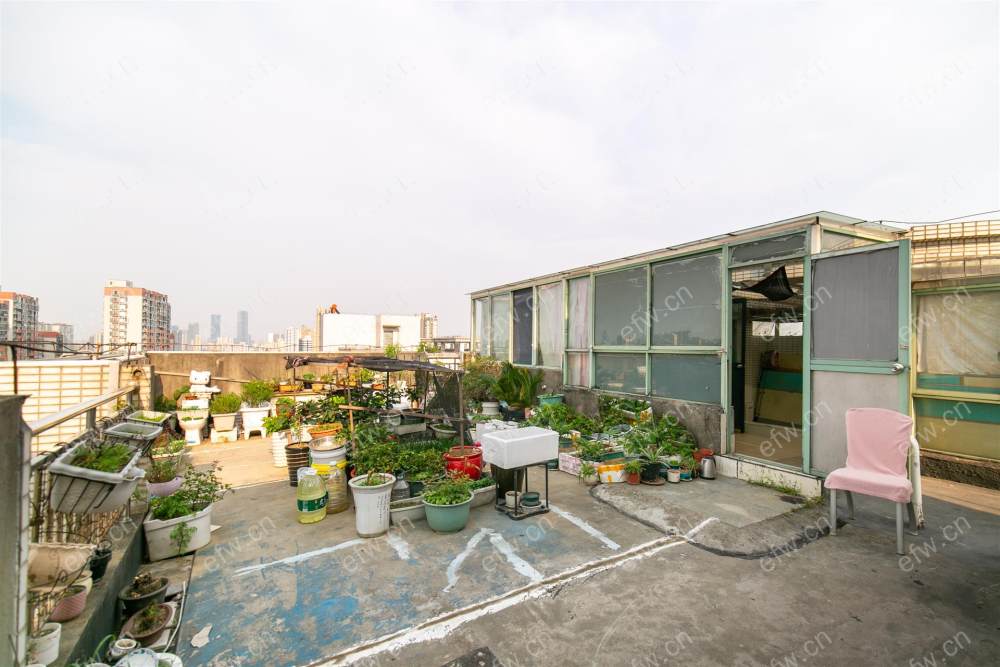 奥林花园A区 3室2厅
