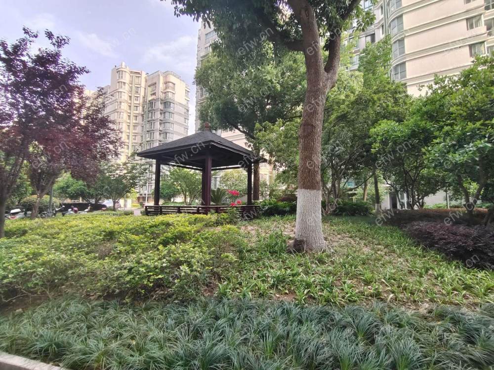 奥林花园B区精装整租三房