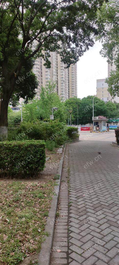 village  精装修 无遮挡采光好 电梯房 南北通透 随时看